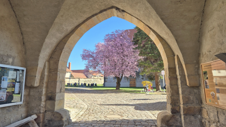 Zuversicht – eine Haltung, die uns gut tut!