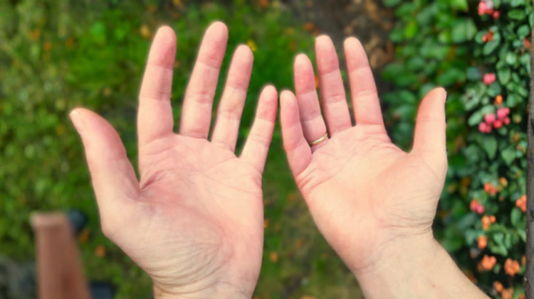 Erwartungsvoll oder erwartungsoffen